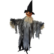 pumpkin-animated-with-hat