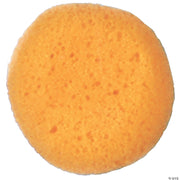 sponge-cosmetic