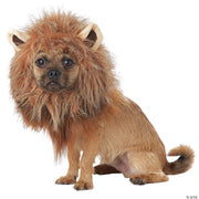 king-of-the-jungle-dog-costume-large
