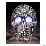 skull-mister-1