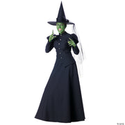 womens-wicked-witch-deluxe-costume-large