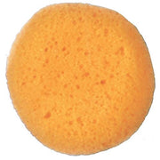 sponge-cosmetic