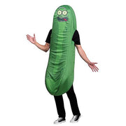 foam-pickle-rick-rick-morty-costume