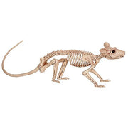 rat-skeleton
