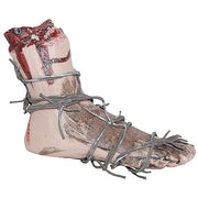 bloody-foot-with-barbed-wire