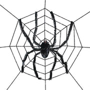 8-spiderweb-with-spider