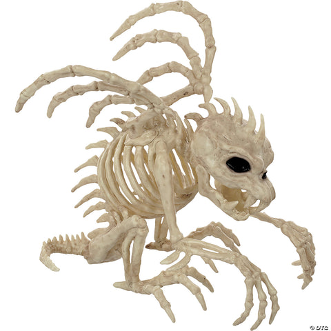 10" Skeleton Gargoyle Prop