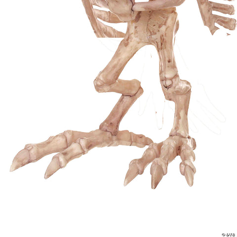 Skeleton Owl | Horror-Shop.com