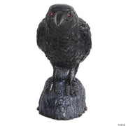 raven-head-turning-with-sound