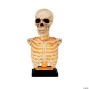 16-skeleton-bust-on-stand-halloween-tabletop-decoration