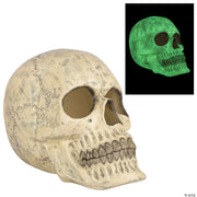 20-glow-in-the-dark-skull-halloween-decoration
