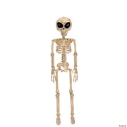alien-skeleton-bone-color-37in