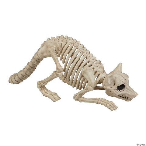 7 3/4" Raccoon Skeleton Plastic Outdoor Halloween Decoration | Horror-Shop.com