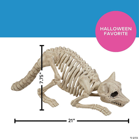7 3/4" Raccoon Skeleton Plastic Outdoor Halloween Decoration | Horror-Shop.com