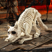 7-3-4-raccoon-skeleton-plastic-outdoor-halloween-decoration