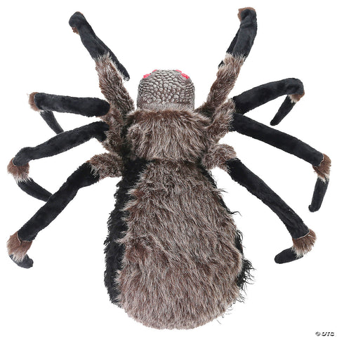 53" Light-Up Black Spider