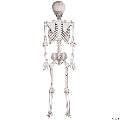 5' Skeleton Pose & Hold | Horror-Shop.com