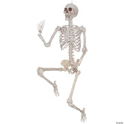 skeleton-titan-6-6-foot