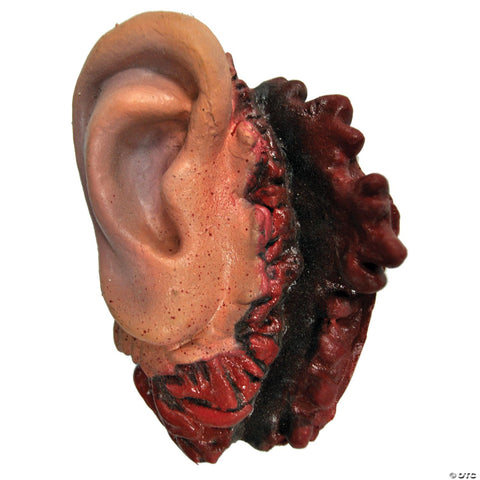 Latex Ear