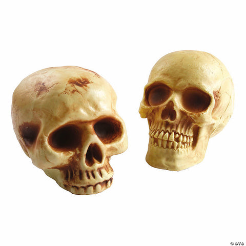 8" Brown Plastic Skull Halloween Decoration