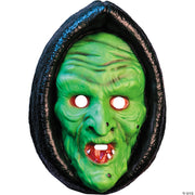 adults-don-post-studios-witch-face-injection-molded-plastic-mask-one-size