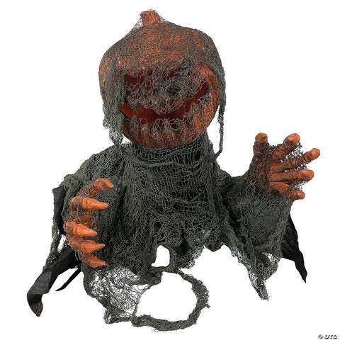 Pumpkin Ground-Breaker
