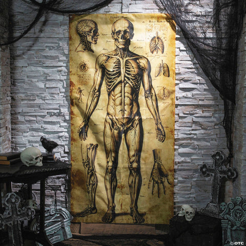 6 Ft. 6 3/4" Human Anatomy Drawings Door Curtain Halloween Decoration