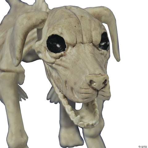 Beagle Bonez | Horror-Shop.com