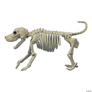 beagle-bonez
