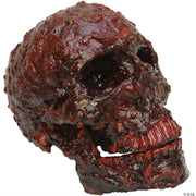 blood-scab-resin-skull-prop