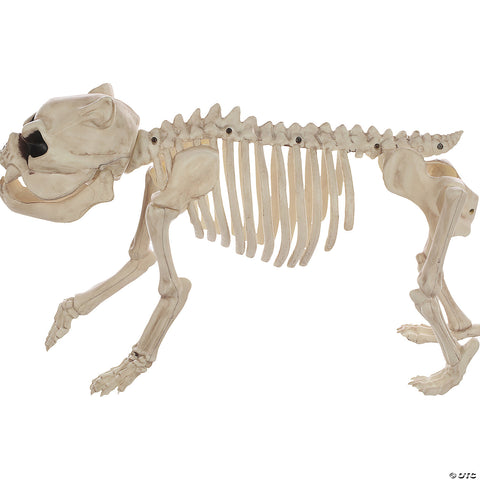 Skeleton Bones The Dog Prop | Horror-Shop.com