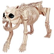 skeleton-bones-the-dog-prop