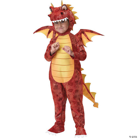 Boy's Dragon Fire Costume - Small