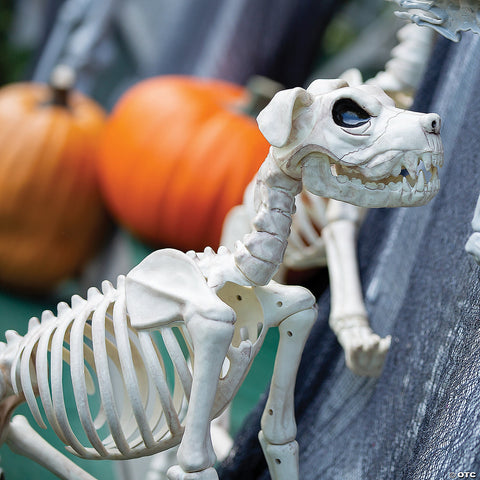 Buster Bonez | Horror-Shop.com