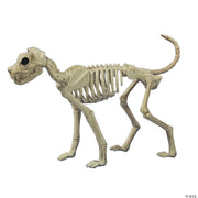 buster-bonez