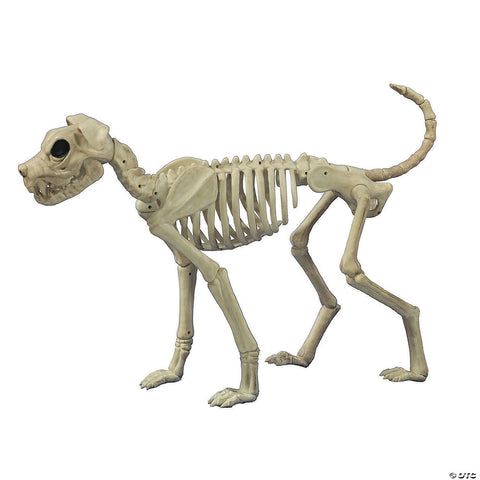 Buster Bonez