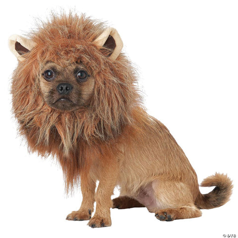 King of the Jungle Dog Costume - Large