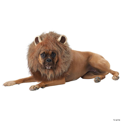 King of the Jungle Dog Costume - Large