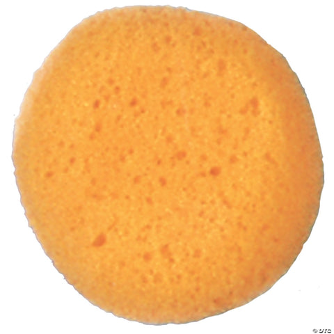 Sponge Cosmetic
