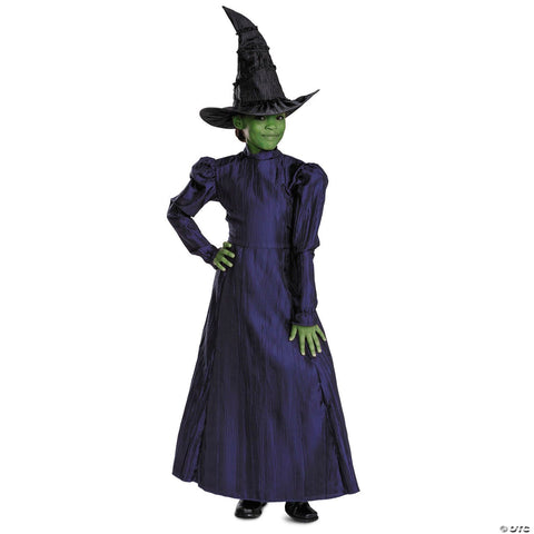 Toddler Deluxe Wicked™ Elphaba Purple Dress Costume - 3T-4T