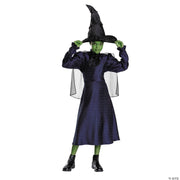 kids-classic-wicked-elphaba-black-purple-dress-costume-medium-7-8