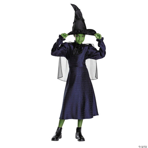 Kids Classic Wicked™ Elphaba Black & Purple Dress Costume - Small 4-6