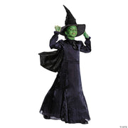 kids-prestige-wicked-elphaba-black-purple-dress-costume-medium-7-8