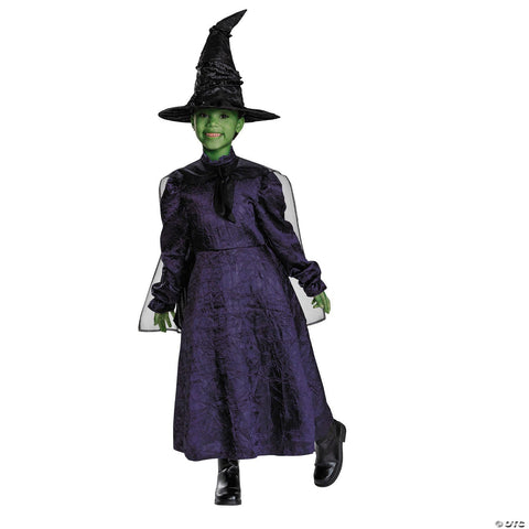 Kids Adaptive Wicked™ Elphaba Dress Costume - Small 4-6