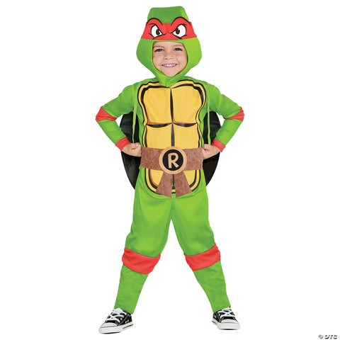 Toddler Teenage Mutant Ninja Turtles Raphael Costume - Medium