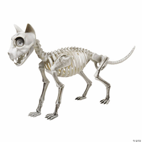 20" Articulated Skele-Cat Halloween Decoration