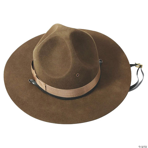 Campaign Hat