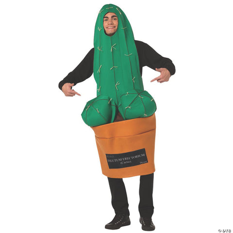 Happy Cactus Costume