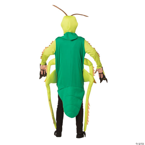 Grasshopper Costume