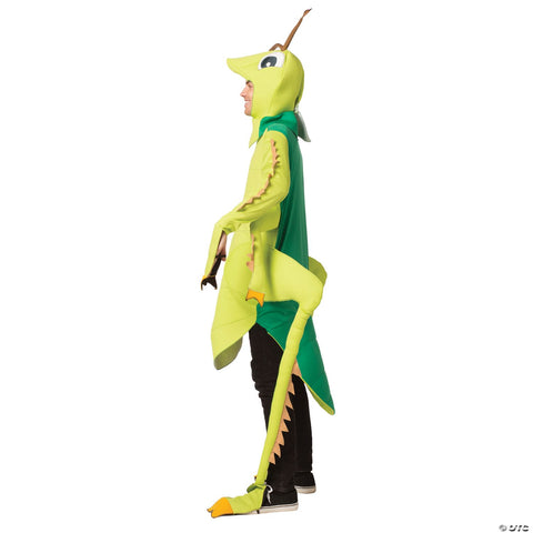 Grasshopper Costume